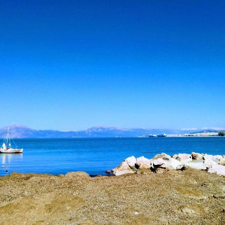 Patras Blue Suite Luaran gambar